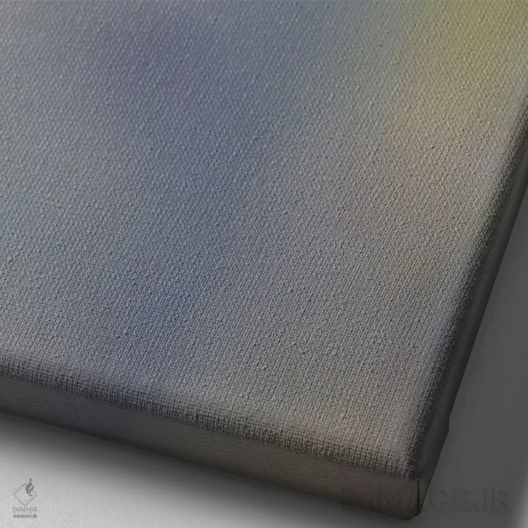 تابلو سیلف دمدراز نر، اکوادور اثر آدام جونز - نمای نزدیک بافت بوم