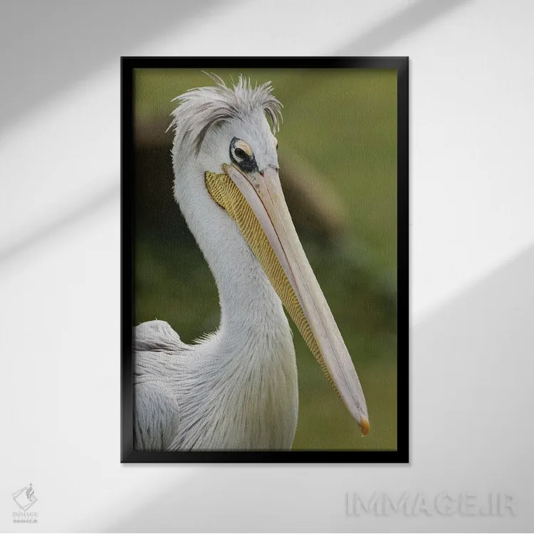 تابلو پلیکان پشتصورتی اثر آدام جونز - نمای قابدار مشکی