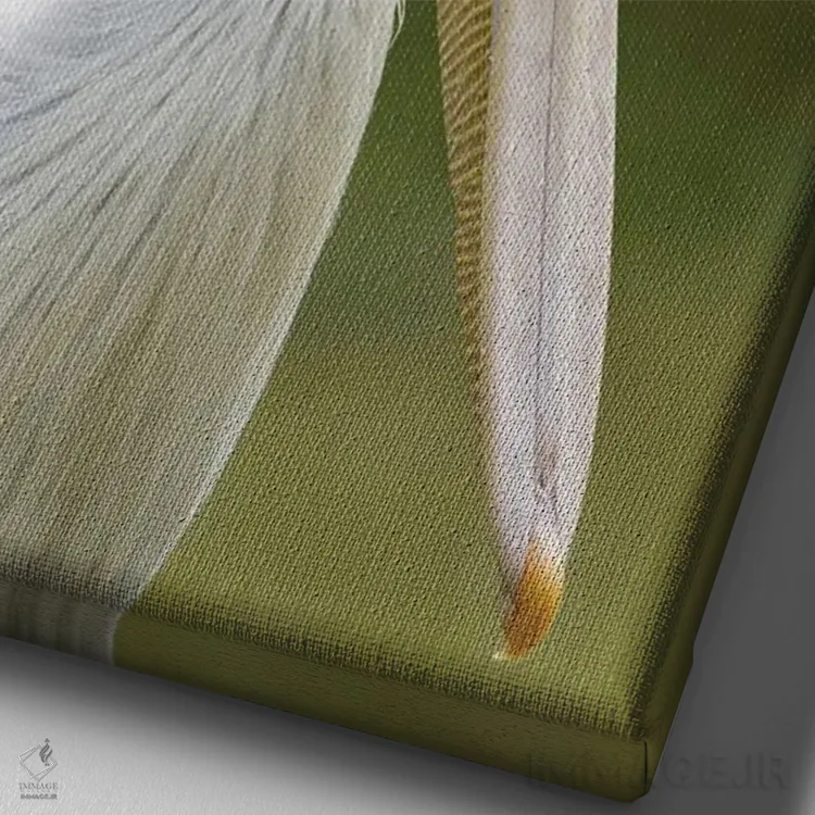 تابلو پلیکان پشتصورتی اثر آدام جونز - نمای نزدیک بافت بوم