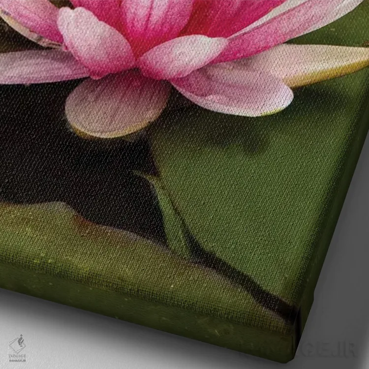 تابلو نیلوفر آبی دورگه صورتی و سفید، کارولینای شمالی اثر آدام جونز - نمای نزدیک بافت بوم