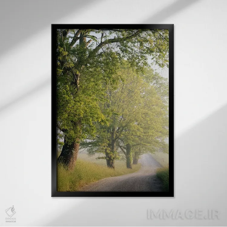 تابلو خیابان هایت، کیدز کوو، پارک ملی کوههای اسموکی بزرگ، تنسی، آمریکا اثر آدام جونز - نمای قابدار مشکی