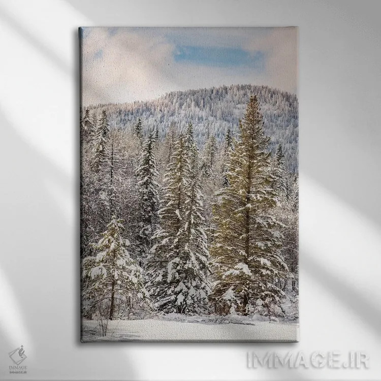 تابلو منظره کوهستانی زمستانی، مونتانا اثر آدام جونز - نمای روبهرو روی دیوار