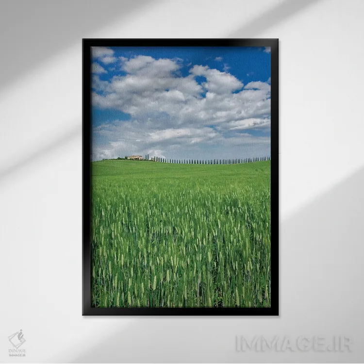 تابلو مزرعه گندم و جادهای پوشیده از سروهای باشکوه، توسکانی، ایتالیا اثر آدام جونز - نمای قابدار مشکی