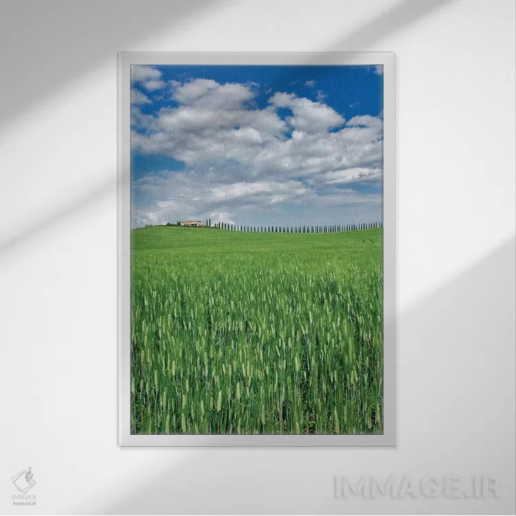 تابلو مزرعه گندم و جادهای پوشیده از سروهای باشکوه، توسکانی، ایتالیا اثر آدام جونز - نمای قابدار سفید