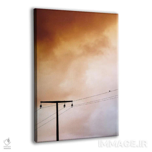 تابلو پرنده کوچولو اثر امی و کورت برلین - نمای پرسپکتیو محصول