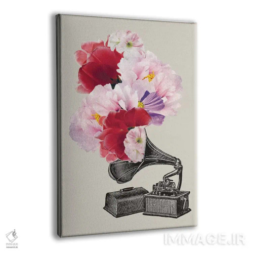 تابلو بلوموفون (نام خاص/آلمانی) اثر امی و کورت برلین - نمای پرسپکتیو محصول