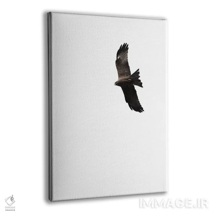 تابلو کرکس اثر امی و کورت برلین - نمای پرسپکتیو محصول