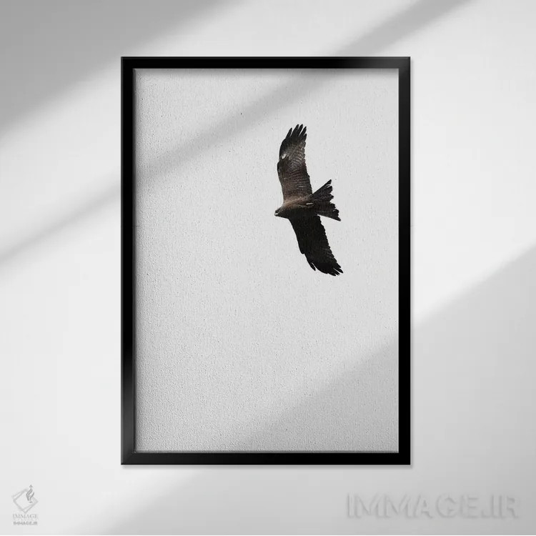 تابلو کرکس اثر امی و کورت برلین - نمای قابدار مشکی