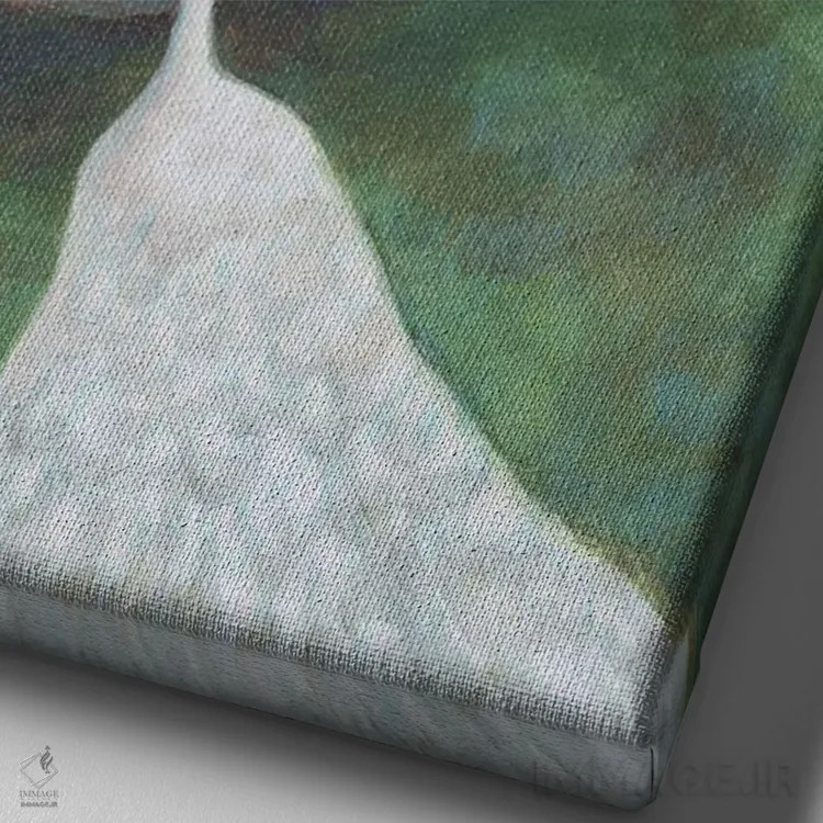 تابلو طاووس سفید اثر آنتوانت کلی - نمای نزدیک بافت بوم