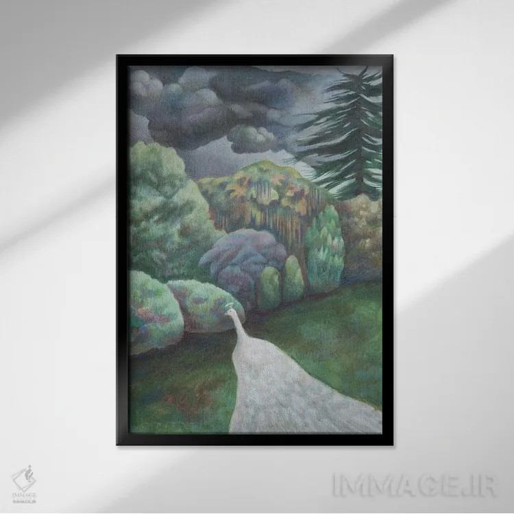 تابلو طاووس سفید اثر آنتوانت کلی - نمای قابدار مشکی