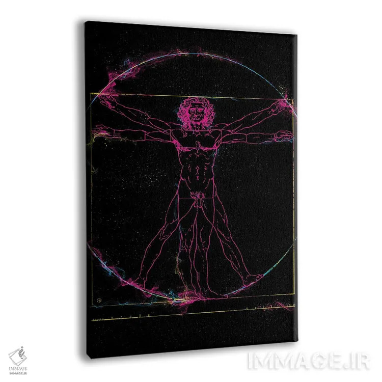 تابلو مرد ویترویوسی (اثر لئوناردو داوینچی) اثر نیکیتا آباکوموف - نمای پرسپکتیو محصول