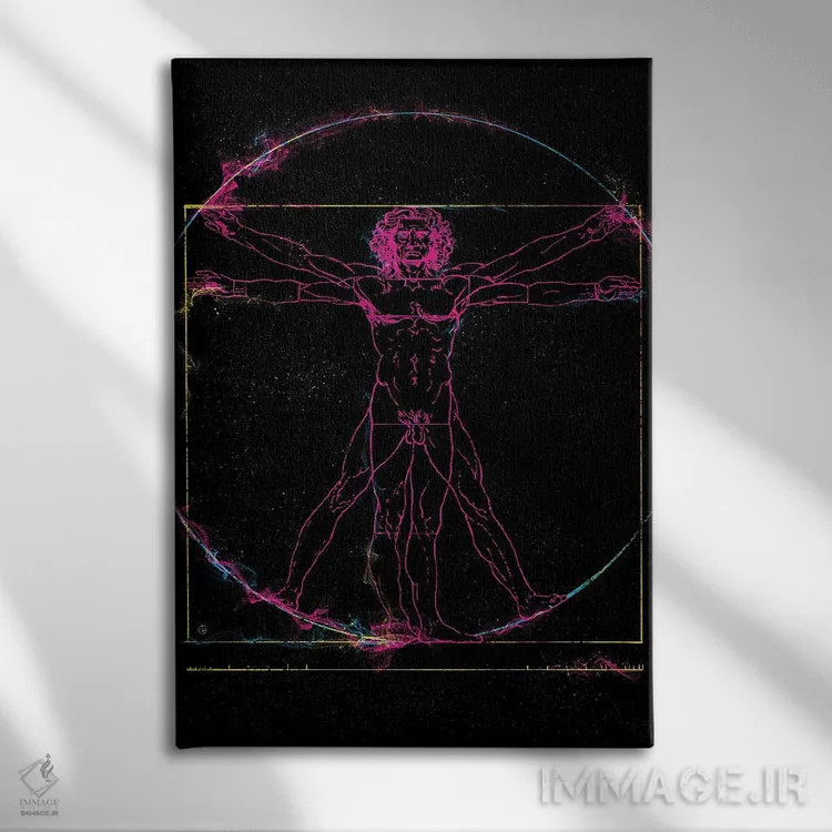 تابلو مرد ویترویوسی (اثر لئوناردو داوینچی) اثر نیکیتا آباکوموف - نمای روبهرو روی دیوار