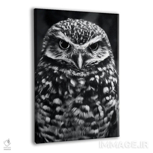 تابلو جغد اثر نیکیتا آباکوموف - نمای پرسپکتیو محصول