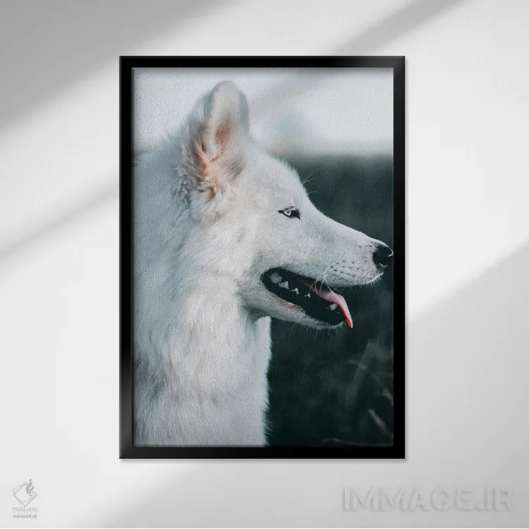 تابلو سگ برفی اثر نیکیتا آباکوموف - نمای قابدار مشکی