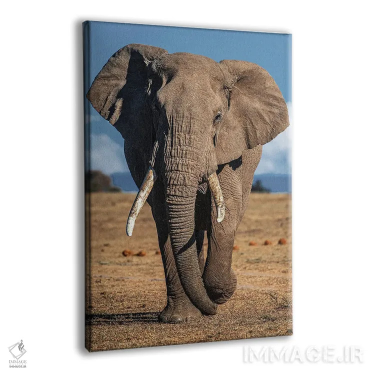 تابلو فیل اثر نیکیتا آباکوموف - نمای پرسپکتیو محصول