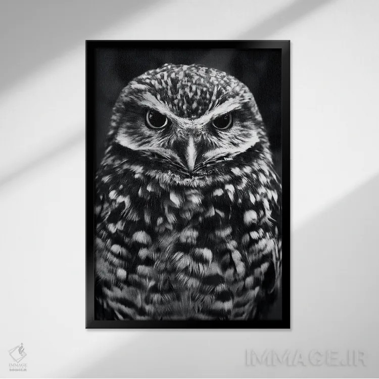 تابلو جغد اثر نیکیتا آباکوموف - نمای قابدار مشکی