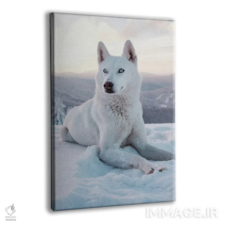 تابلو سگ برفی ۱ اثر نیکیتا آباکوموف - نمای پرسپکتیو محصول