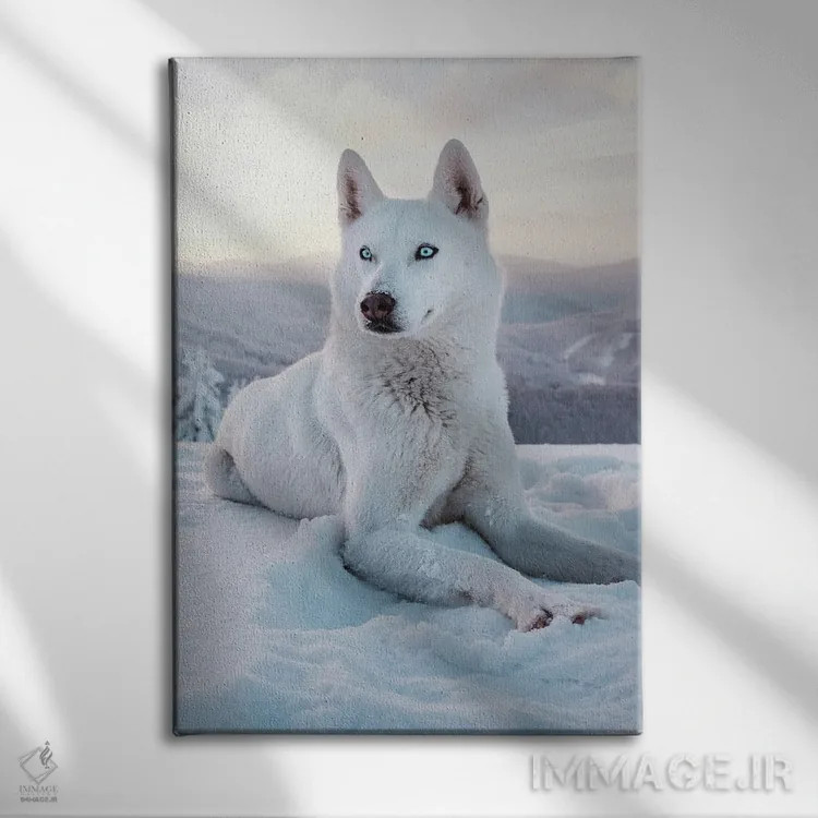 تابلو سگ برفی ۱ اثر نیکیتا آباکوموف - نمای روبهرو روی دیوار