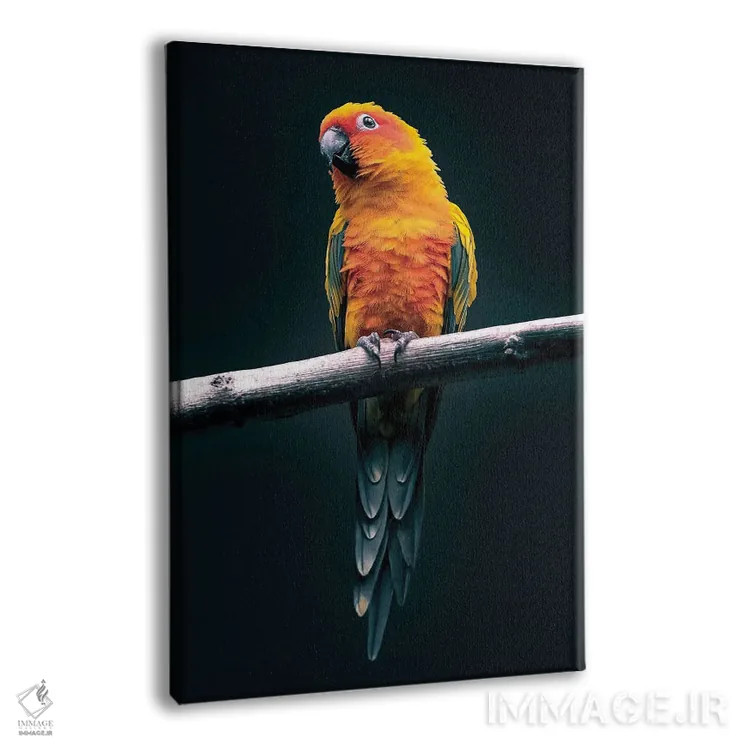 تابلو طوطی اثر نیکیتا آباکوموف - نمای پرسپکتیو محصول