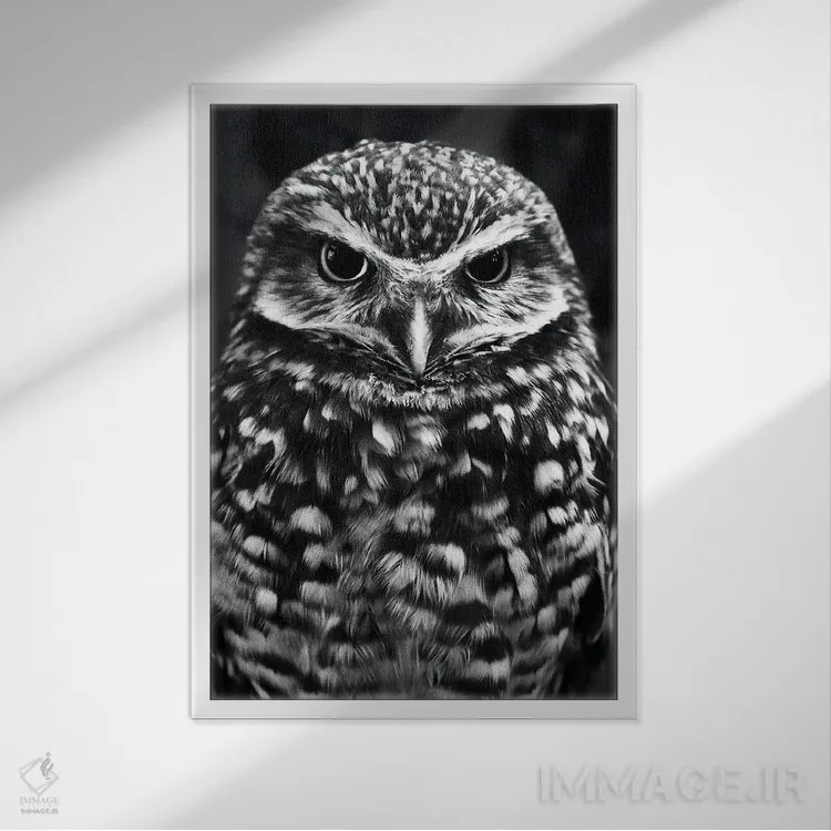 تابلو جغد اثر نیکیتا آباکوموف - نمای قابدار سفید