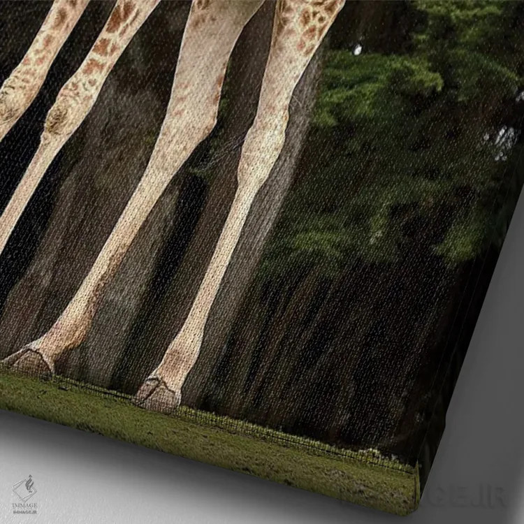 تابلو زرافه ۱ اثر نیکیتا آباکوموف - نمای نزدیک بافت بوم