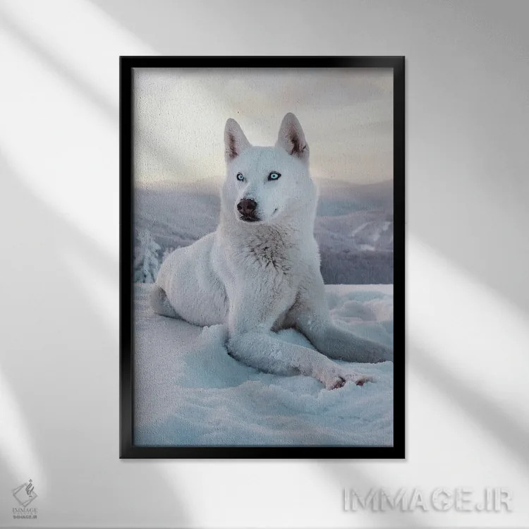 تابلو سگ برفی ۱ اثر نیکیتا آباکوموف - نمای قابدار مشکی