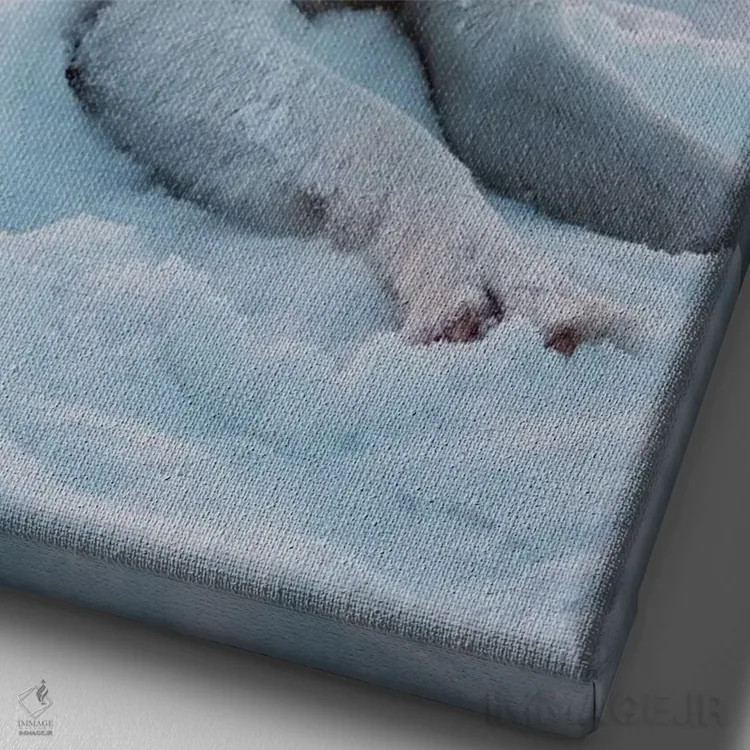 تابلو سگ برفی ۱ اثر نیکیتا آباکوموف - نمای نزدیک بافت بوم