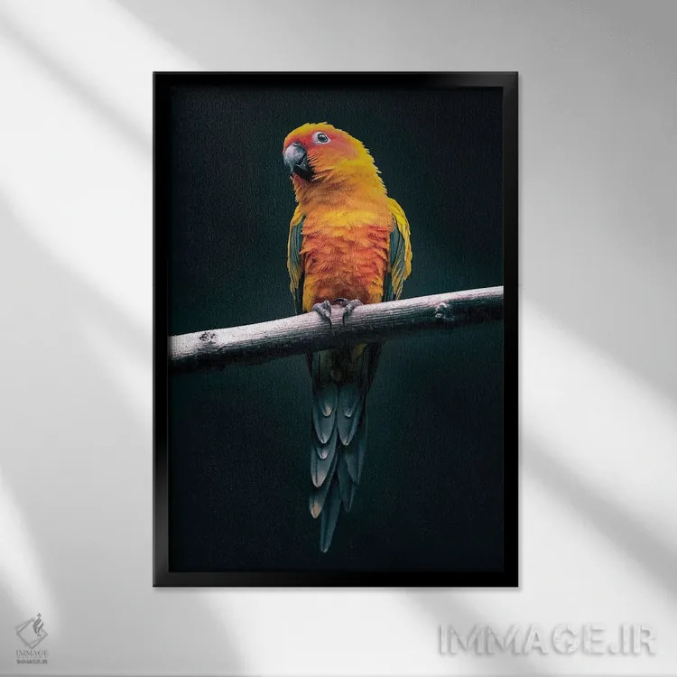 تابلو طوطی اثر نیکیتا آباکوموف - نمای قابدار مشکی