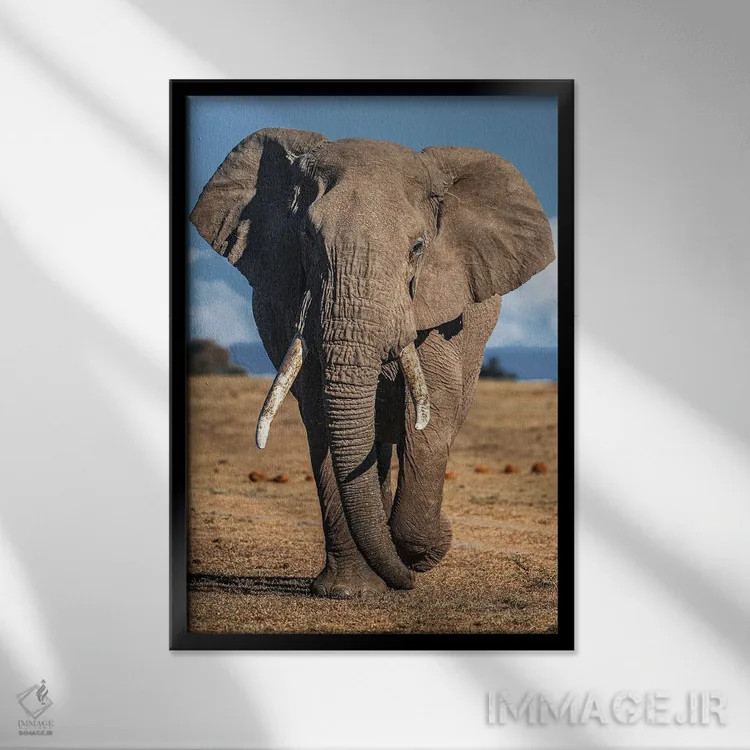 تابلو فیل اثر نیکیتا آباکوموف - نمای قابدار مشکی
