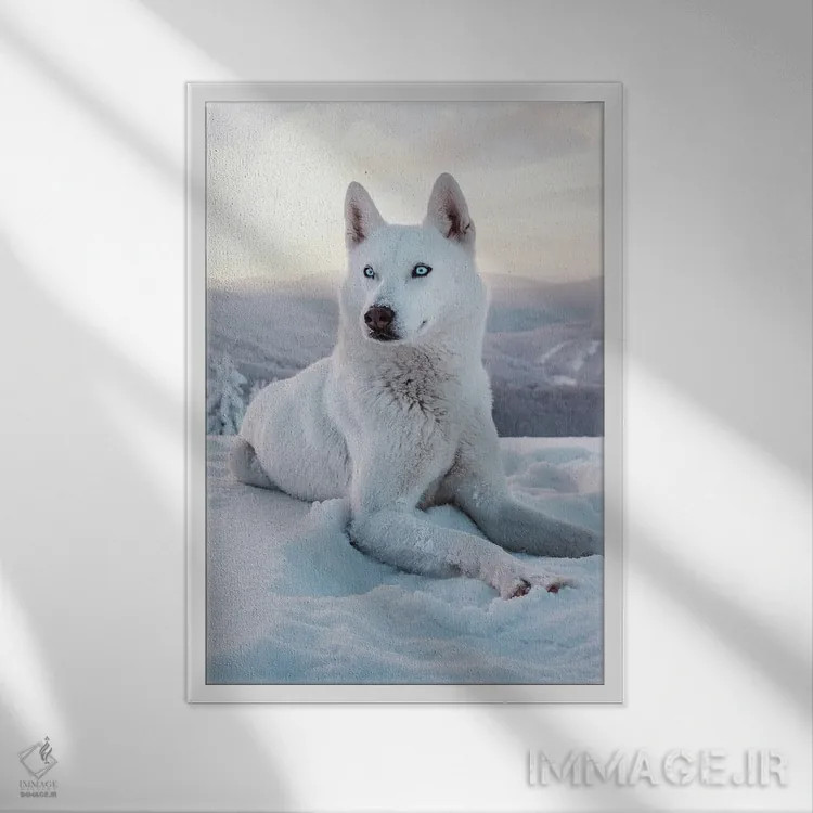 تابلو سگ برفی ۱ اثر نیکیتا آباکوموف - نمای قابدار سفید