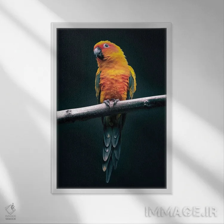 تابلو طوطی اثر نیکیتا آباکوموف - نمای قابدار سفید