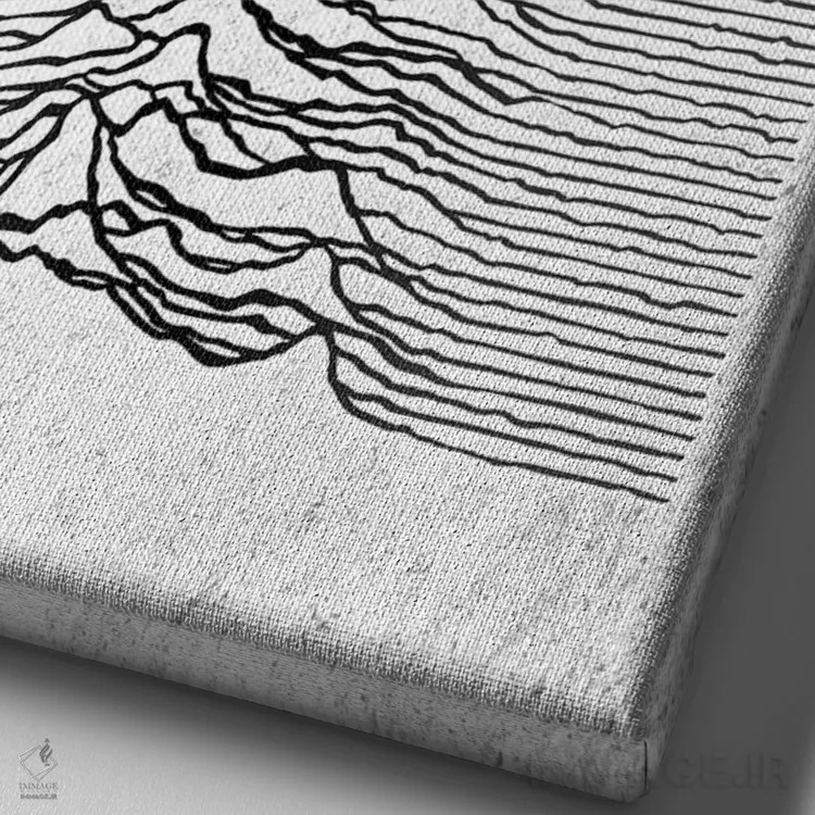 تابلو جوی دیویژن سفید اثر نیکیتا آباکوموف - نمای نزدیک بافت بوم