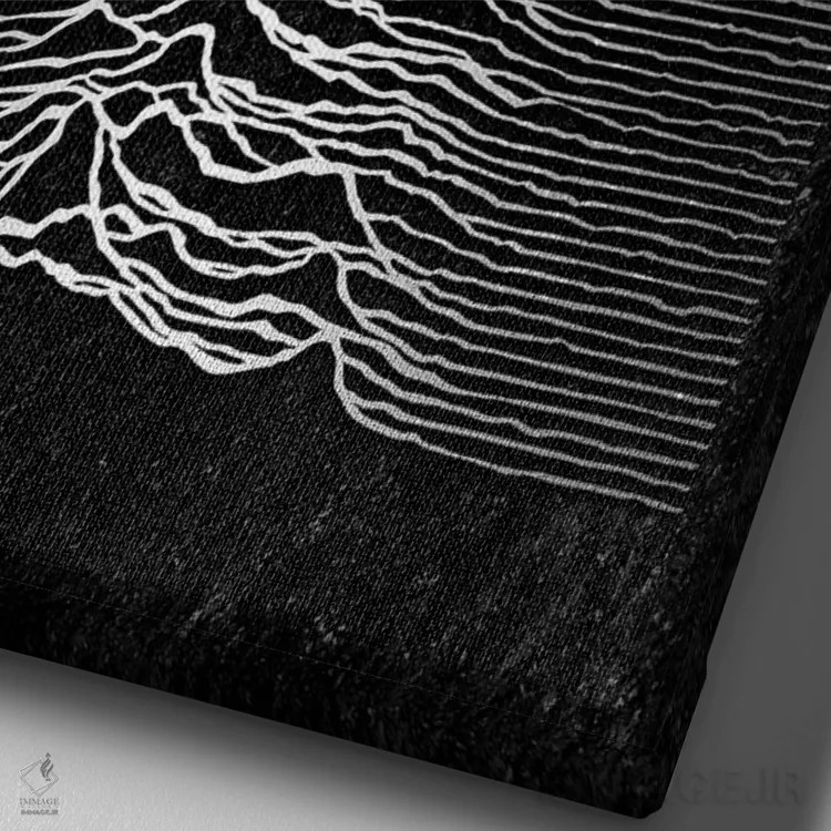 تابلو جوی دیویژن مشکی اثر نیکیتا آباکوموف - نمای نزدیک بافت بوم