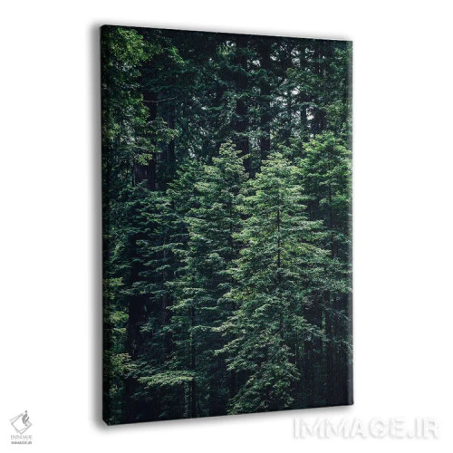 تابلو طبیعت VI (شماره) اثر نیکیتا آباکوموف - نمای پرسپکتیو محصول