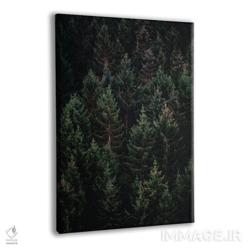 تابلو طبیعت VII (شماره) اثر نیکیتا آباکوموف - نمای پرسپکتیو محصول