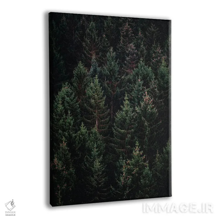 تابلو طبیعت VII (شماره) اثر نیکیتا آباکوموف - نمای پرسپکتیو محصول