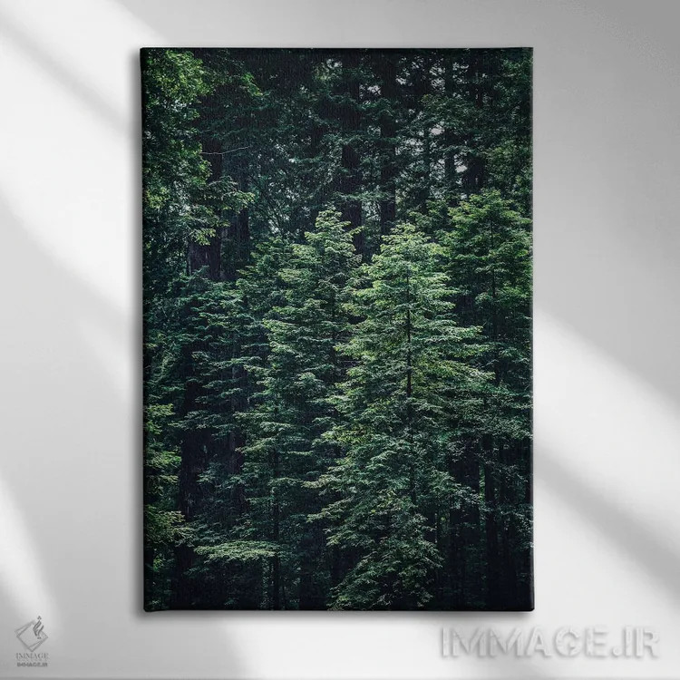 تابلو طبیعت VI (شماره) اثر نیکیتا آباکوموف - نمای روبهرو روی دیوار