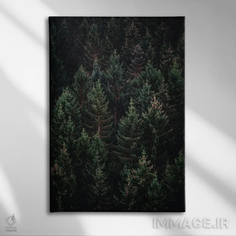 تابلو طبیعت VII (شماره) اثر نیکیتا آباکوموف - نمای روبهرو روی دیوار