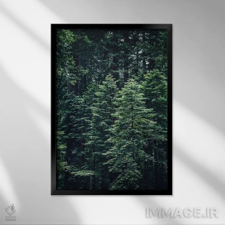 تابلو طبیعت VI (شماره) اثر نیکیتا آباکوموف - نمای قابدار مشکی