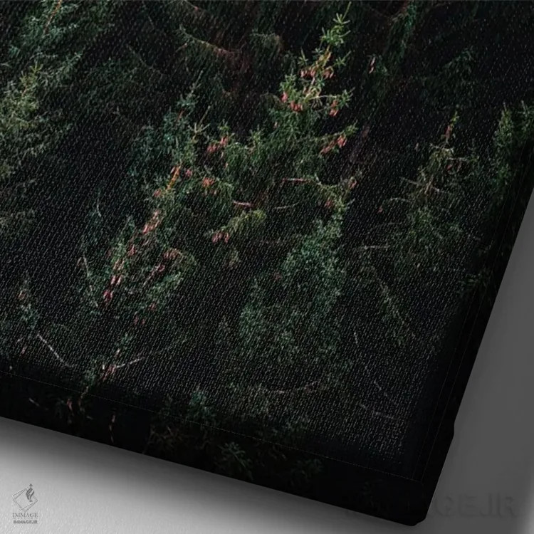 تابلو طبیعت VII (شماره) اثر نیکیتا آباکوموف - نمای نزدیک بافت بوم