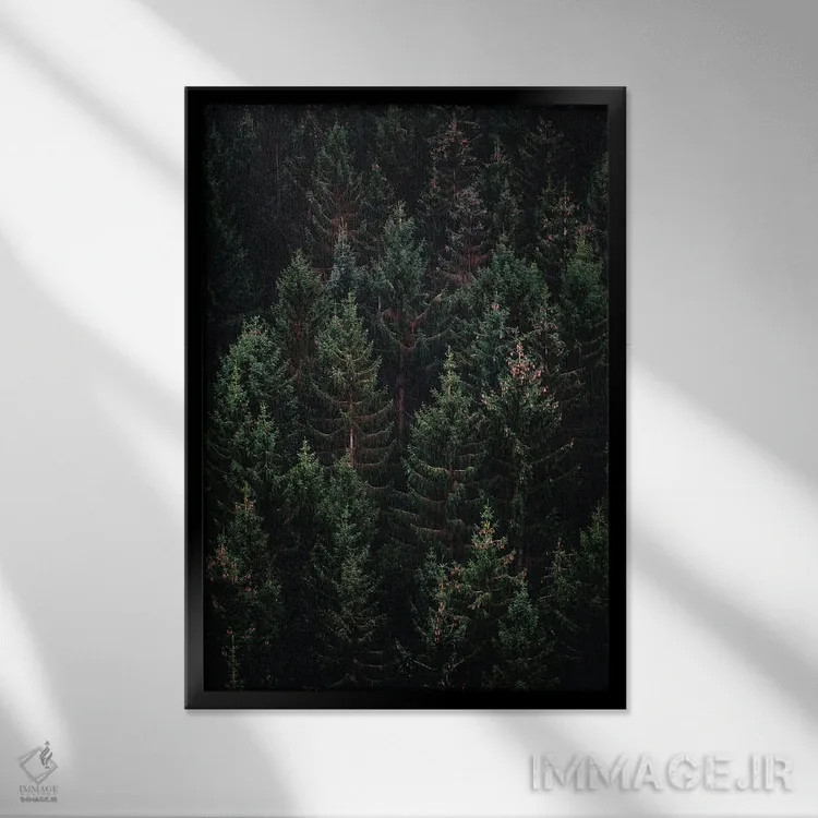 تابلو طبیعت VII (شماره) اثر نیکیتا آباکوموف - نمای قابدار مشکی