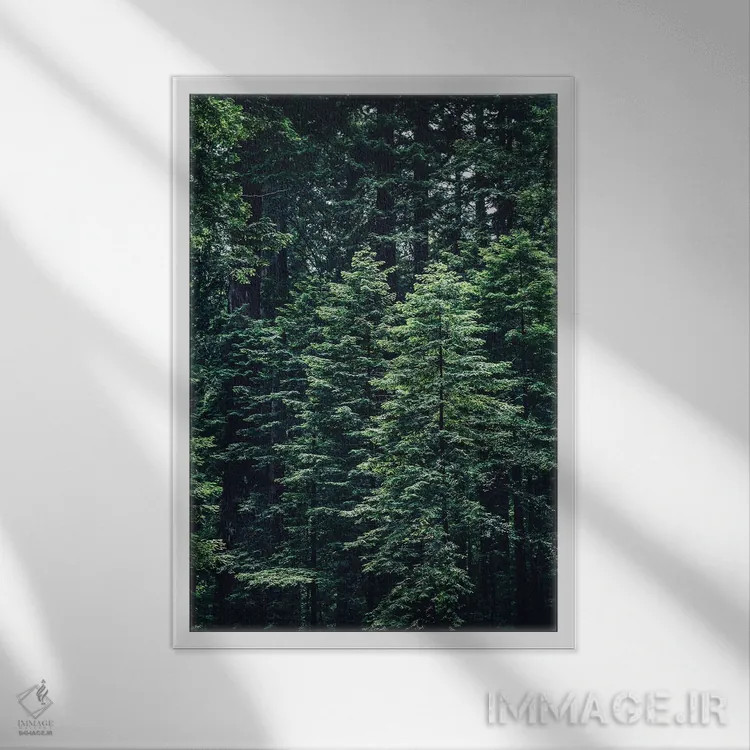 تابلو طبیعت VI (شماره) اثر نیکیتا آباکوموف - نمای قابدار سفید