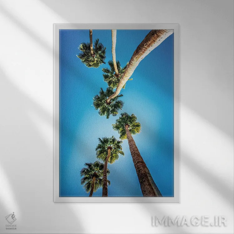 تابلو طبیعت IX (شماره) اثر نیکیتا آباکوموف - نمای قابدار سفید