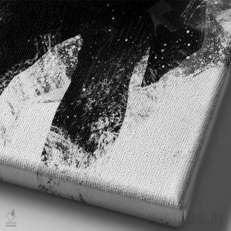 تابلو صورت زخمی در سیاه و سفید اثر نیکیتا آباکوموف - نمای نزدیک بافت بوم