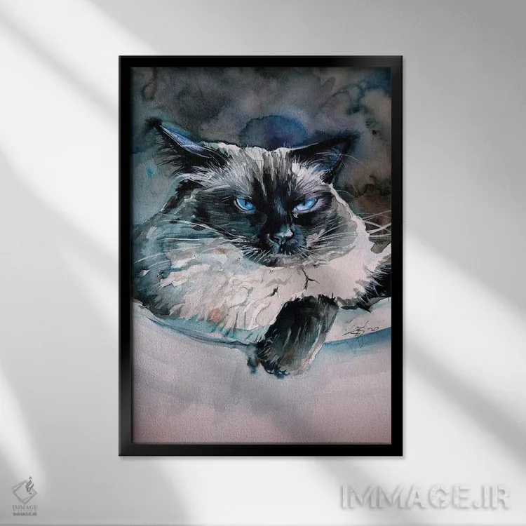 تابلو گربهٔ هیمالیایی عصبانی اثر آنا بریجیتا کوواچ - نمای قابدار مشکی