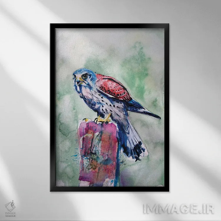 تابلو دلیجه (پرنده شکاری) اثر آنا بریجیتا کوواچ - نمای قابدار مشکی