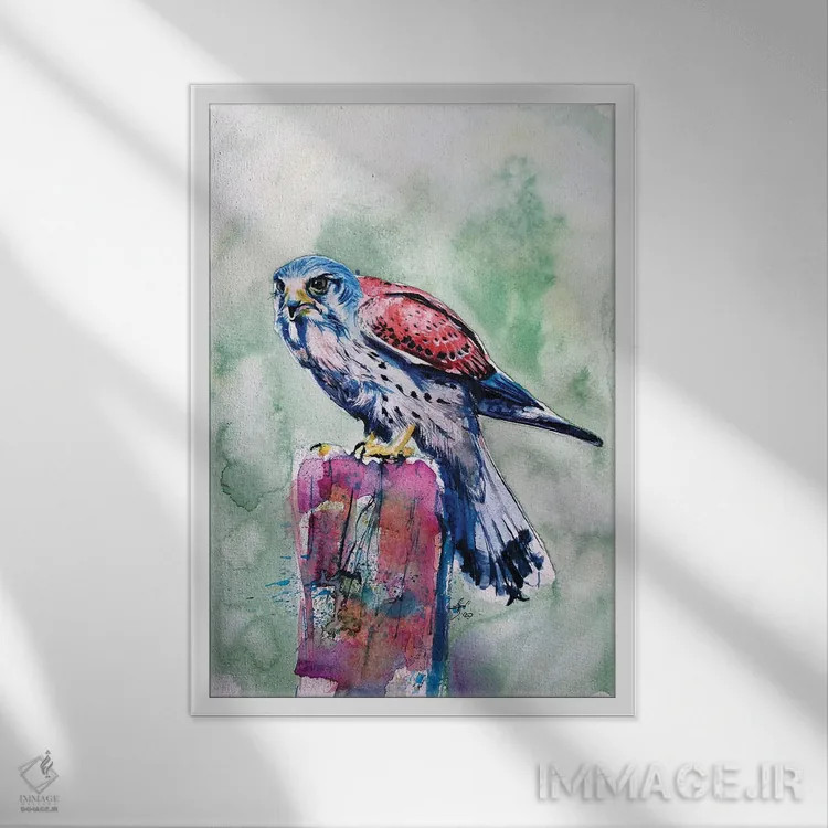 تابلو دلیجه (پرنده شکاری) اثر آنا بریجیتا کوواچ - نمای قابدار سفید