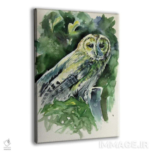 تابلو جغد باشکوه اثر آنا بریجیتا کوواچ - نمای پرسپکتیو محصول