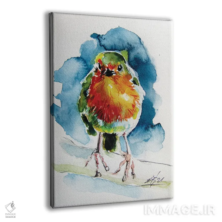 تابلو سینهسرخ زیبا اثر آنا بریجیتا کوواچ - نمای پرسپکتیو محصول