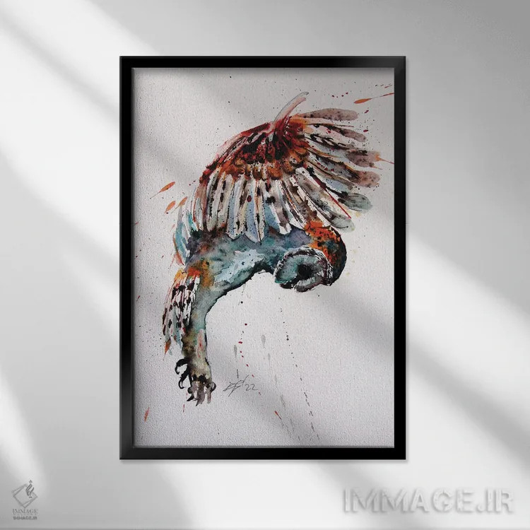 تابلو جغد پرنده اثر آنا بریجیتا کوواچ - نمای قابدار مشکی